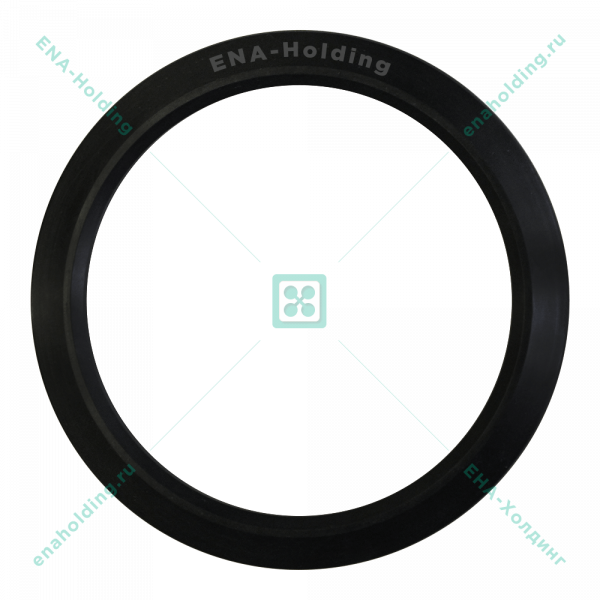 Кольцо уплотнительное ДБМ Р5-125 FKM по ТТ чертежа — 3